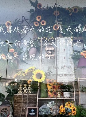 喜欢每天出现的你文艺墙贴