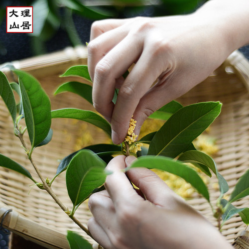 大理山居金桂花干 云南大理优质桂花茶干桂花桂花花茶当季新桂花 - 图2