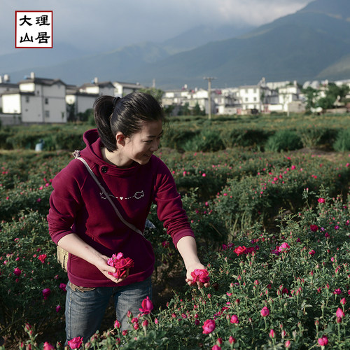 大理山居墨红玫瑰花粉纯玫瑰花瓣云南玫瑰花食用玫瑰花干净细腻 - 图2