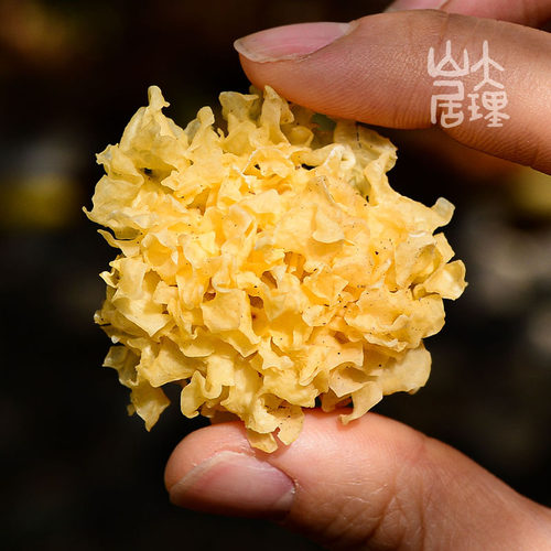 大理山居纯正大山小银耳云南普洱椴木小银耳雪耳白木耳干银耳干货 - 图1