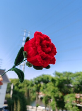 扭扭棒玫瑰花成品情人节礼物送男友女友闺蜜母亲