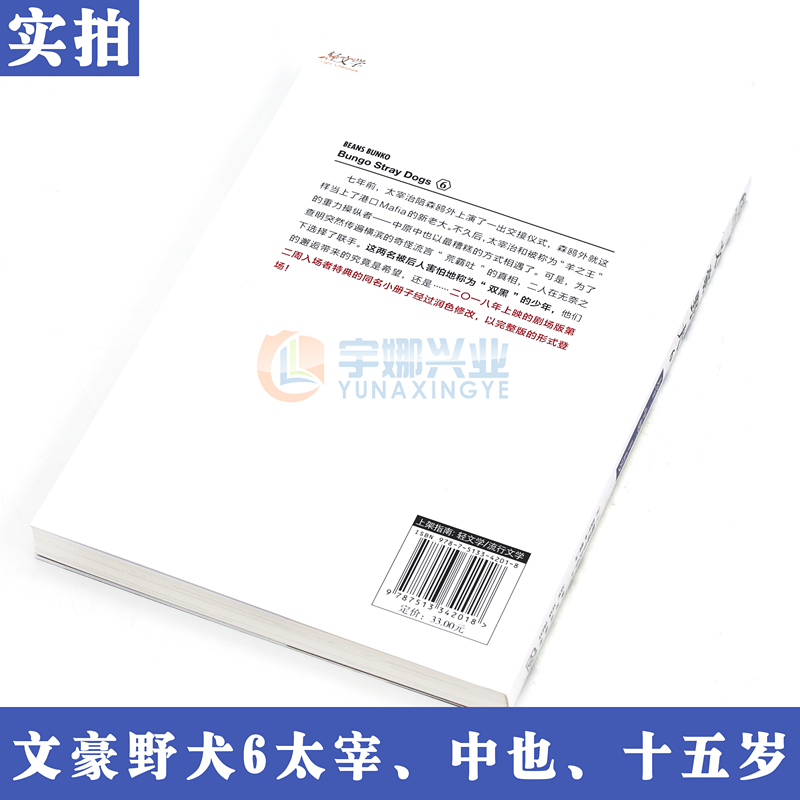 现货正版 文豪野犬小说6 第6册太宰、中也、十五岁 文豪小说朝雾卡夫卡文豪野犬青春人气战斗漫画侦探小说天闻角川 - 图2