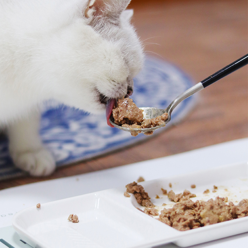 猫咪鲜肉熟猫饭鸡三文鱼牛肉自制主食湿粮生骨肉猫粮成幼猫全阶段-图2