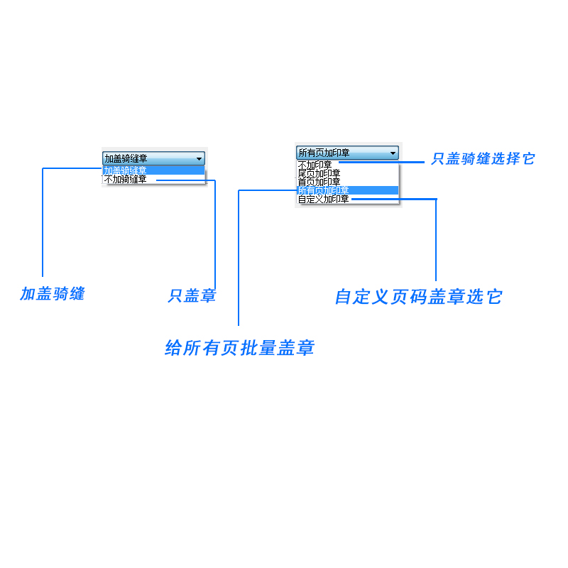 PDF电子合同标书盖骑缝章神器软件工具签章一键盖章批量生成包教-图2