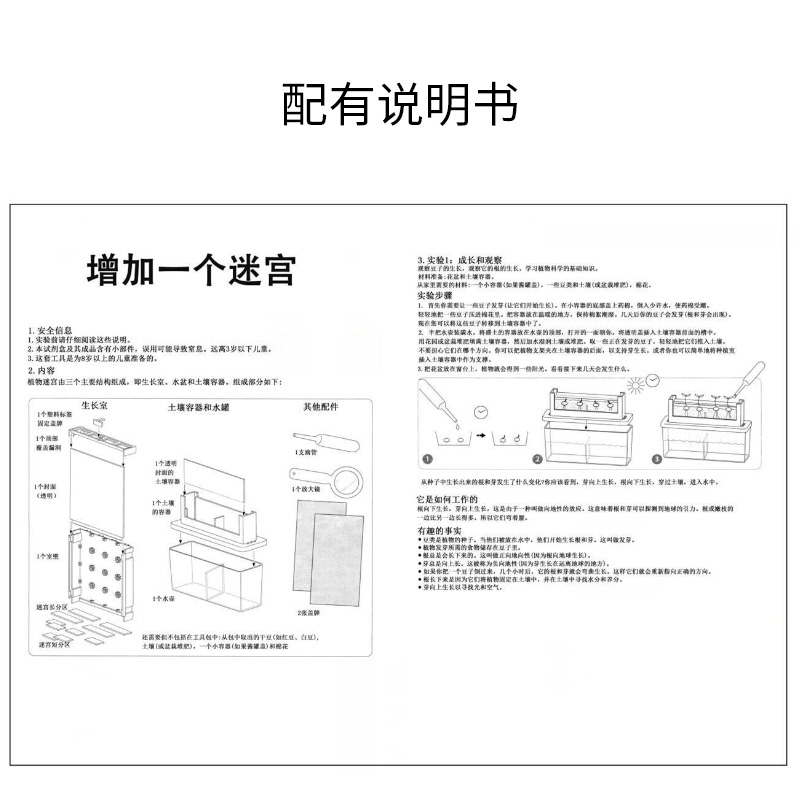 儿童科学植物生长迷宫向光趋光性观察实验小孩家庭花草种植盒玩具 - 图2