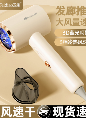 飞雕吹风机发廊专用大风力速干发型师专用电吹风家用大功率吹风筒
