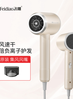 飞雕吹风机家用大功率负离子高速大风力发廊理发店电吹风筒负离子