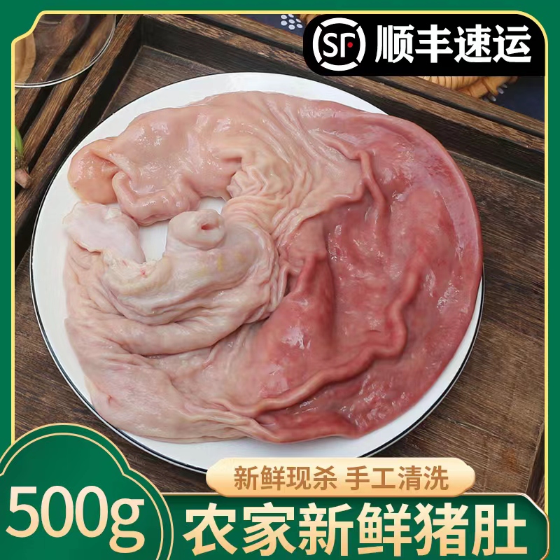 生猪肚 500g  新鲜土猪肚 一个1-1.2斤重 农家新鲜整个 猪肚 猪胃 - 图0