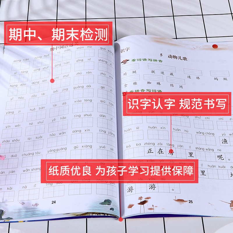 彩绘版看拼音写词语生字注音一年级二年级三四五六年级上册下册语文同步练专项训练部编人教版小学生注音词语描红本汉字练习字帖书