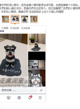 照片定制去世猫咪狗狗纪念品礼物