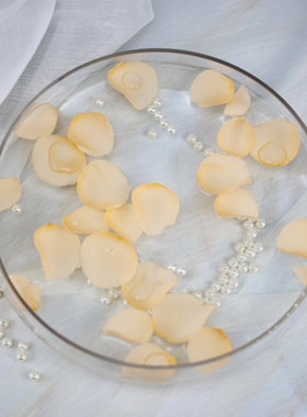 透明美容院看盆玻璃欧式