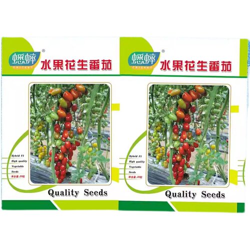 水果花生番茄种籽洋柿子种子台湾圣女果西红柿种籽盆栽四季春季 - 图3