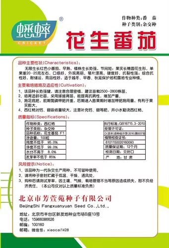 水果花生番茄种籽洋柿子种子台湾圣女果西红柿种籽盆栽四季春季 - 图2