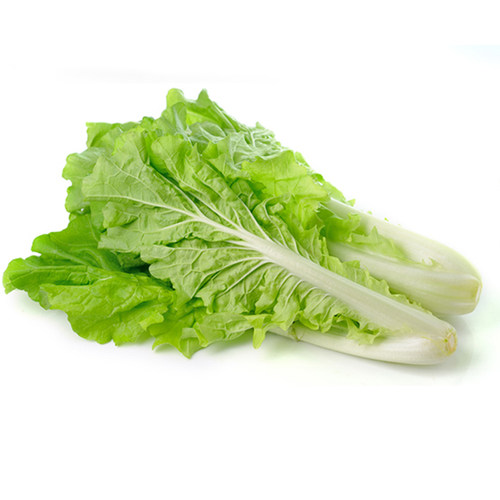 四季小白菜快菜可食用盆栽春夏秋冬菜园农家适合新手蔬菜种子籽孑 - 图3