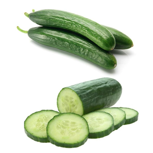 Shouguang Овощный вкус -это хороший высокооборотный голландский 8316 Семена фруктов огурца четыре сезона, чтобы съесть весенние саженцы