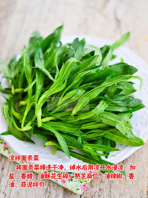 面条菜野菜好吃四季可盆栽菜园生菜油菜春秋冬季蔬菜水果种子籽孑