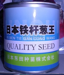 进口日本铁杆葱王大葱种子 铁杆大葱  葱白紧实 产量高 蔬菜种子 - 图0