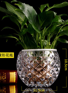 绿萝玻璃花瓶客厅水养插花摆件