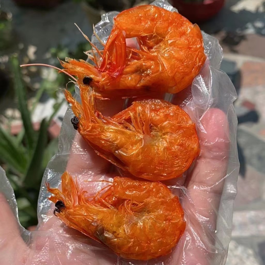 潮州饶平特产 软壳虾 软壳咸水虾 软壳九节虾 500g/包 - 图1