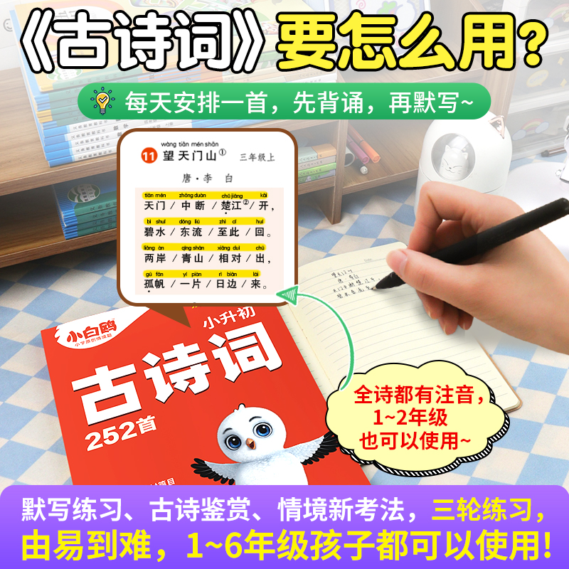 2024新版万唯小白鸥小升初古诗词一二年级三四五六年级精讲精练252首古诗词专项强化训练人教版小初衔接小白鸽星空小升初古诗词 - 图1