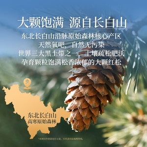 良品铺子2025东北松子500g红松新货开口大颗粒坚果罐装手剥干果仁