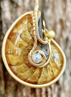 转运螺招财丰盛绕线项链化石