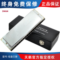 Swan and string harmonica Double Union band ensemble harmonica SW48HX bass bass Division harmonica SW-BS beginners