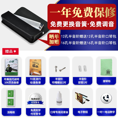 德国Hohner进口280和来16孔64音半音阶口琴初学新手入门演奏学习 - 图0
