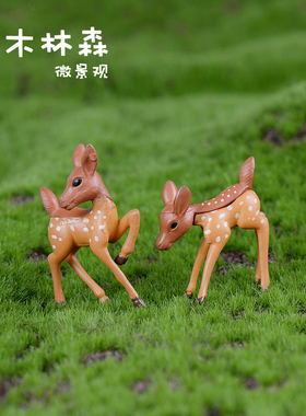 小鹿情侣 创意苔藓微景观生态瓶多肉植物盆景diy装饰迷你动物摆件