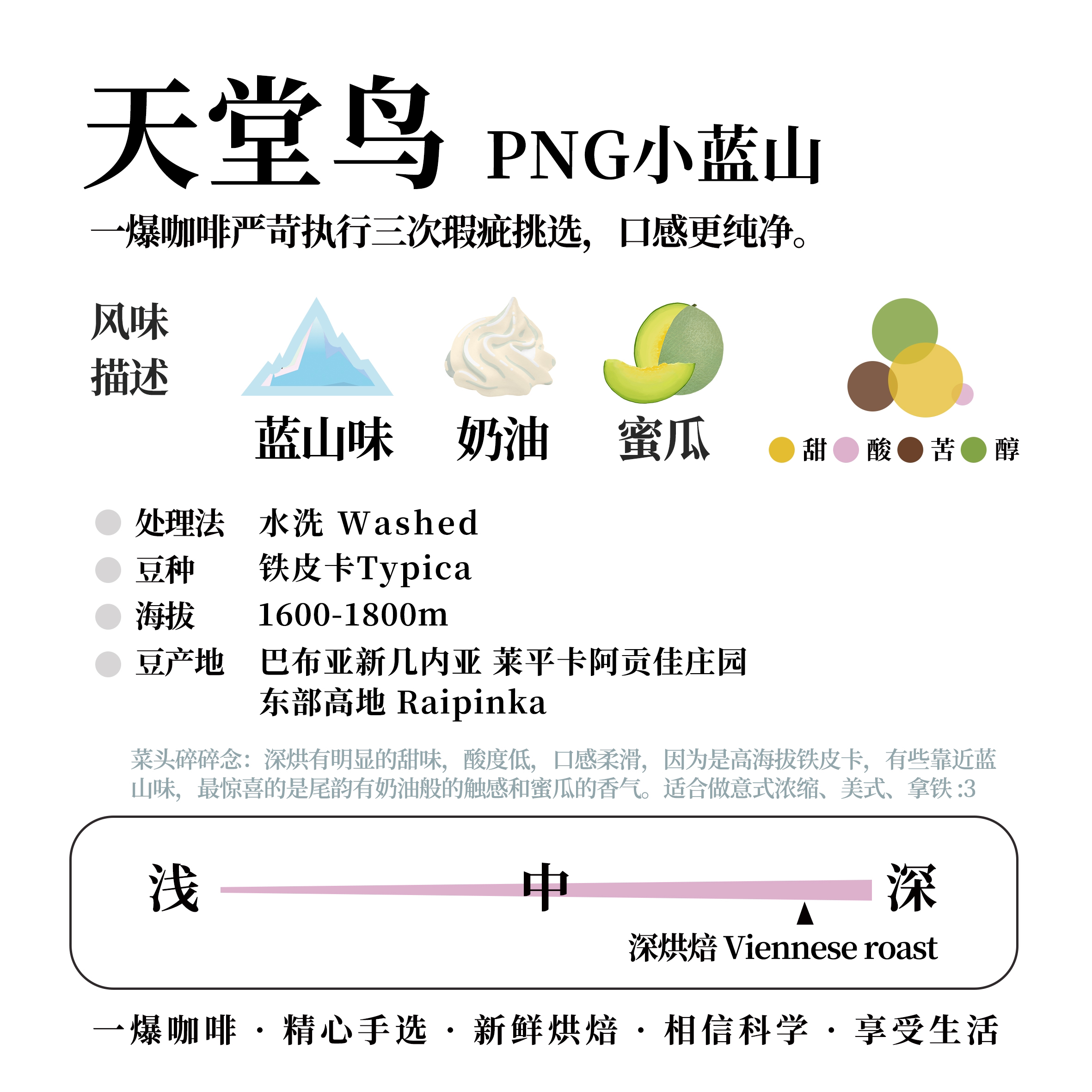 深烘天堂鸟小蓝山巴布亚新几内亚不酸奶油咖啡豆新鲜烘焙PNG-图0