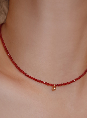 2024新款红玛瑙串珠项链女轻奢高级设计感简约小圆珠吊坠锁骨颈链