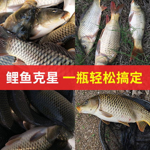 万方红果酸香精高浓度钓鱼小药鲫鱼鲤鱼大罗非诱食添加剂野钓黑坑 - 图1