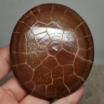 Hunan Chenzhou Boutique Tortoise Tattooed Stone Old Bag Pulp Leather Shell Mil-to-Stone qt1253a4 (no bargaining)