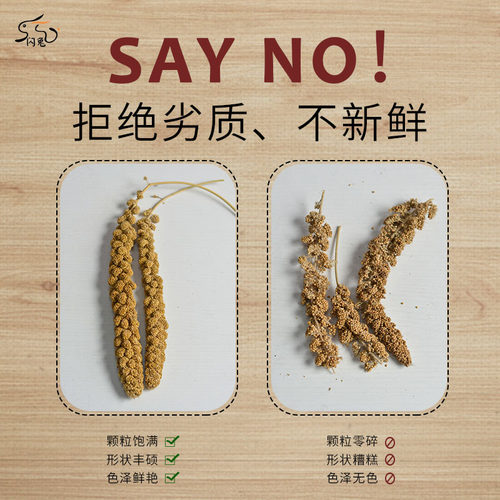 [鸟叔专属]鹦鹉断奶学吃天然优谷穗玄凤大头零食虎皮鸟食牡丹鸟粮 - 图1