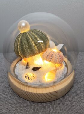 海南厦门海胆灯北海纪念品三亚海口贝壳小夜灯成品大连特产伴手礼