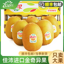 Kiwifruit golden fruits Big fruits Fresh fruit When season Italy imports the yellow heart kiwifruit whole box Shunfeng
