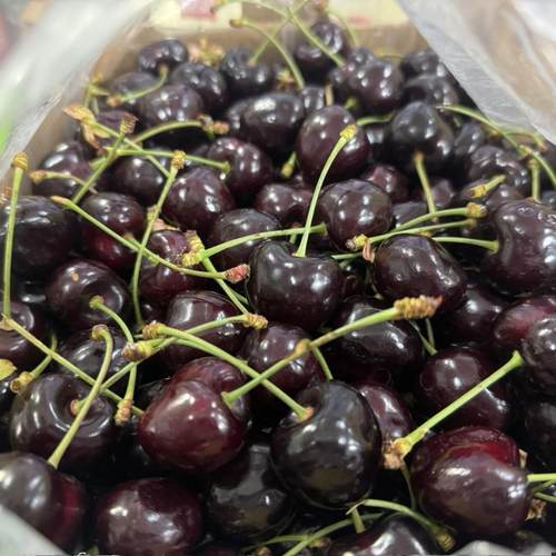 智利空运科迪亚车厘子2J3J原箱车厘子孕妇水果节日送礼智利进口 - 图2