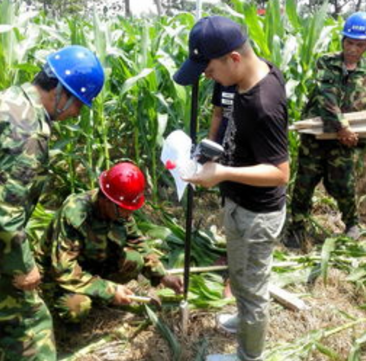 测量放样木桩测绘放线圆形木头桩子原木工程用地桩果树拉枝竹片桩 - 图2