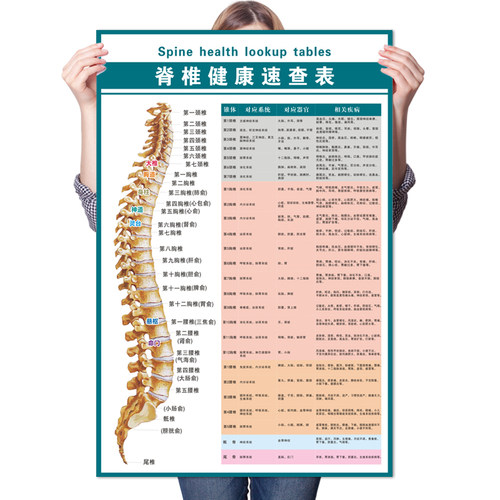 脊椎健康速查表人体脊柱相纸疾病示意图中医养生医学健康挂图海报 - 图3