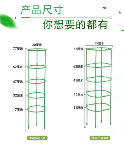 爬藤花支架蟹爪兰月季花卉植物铁线莲花卉室内攀爬支撑杆架子花架 - 图2