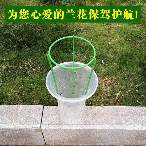 惠兰莲瓣双层兰花护叶支架兰花护叶架兰花护叶专用支架兰花护叶圈 - 图2