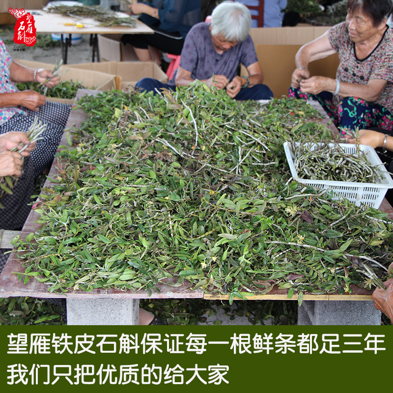 浙江雁荡山三年四年新鲜铁皮石斛鲜条新鲜铁皮枫斗茶500g包邮