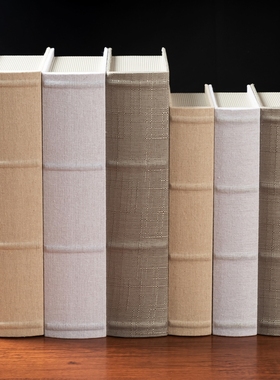 假书仿真书家具书柜道具装饰摆件