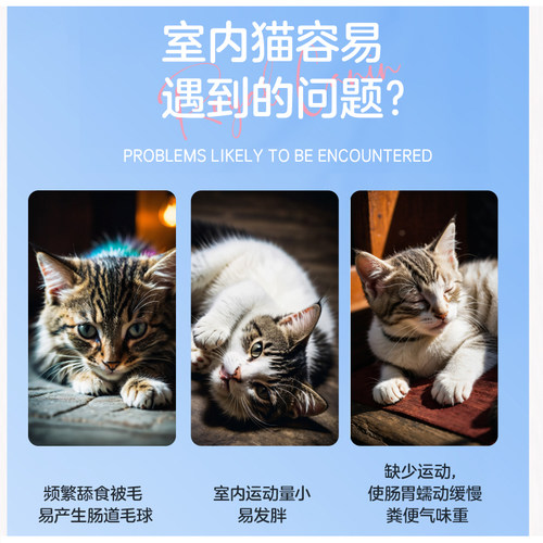 皇家猫粮I27 室内成猫粮美短蓝猫粮2KG+2KG宠物猫咪猫粮4KG - 图1