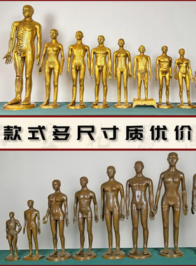 中医针灸穴位模型仿古男女全身铜