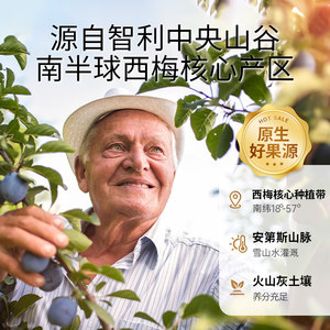 百草味高纤西梅干508g果脯果干办公室休闲酸甜梅子健康蜜饯