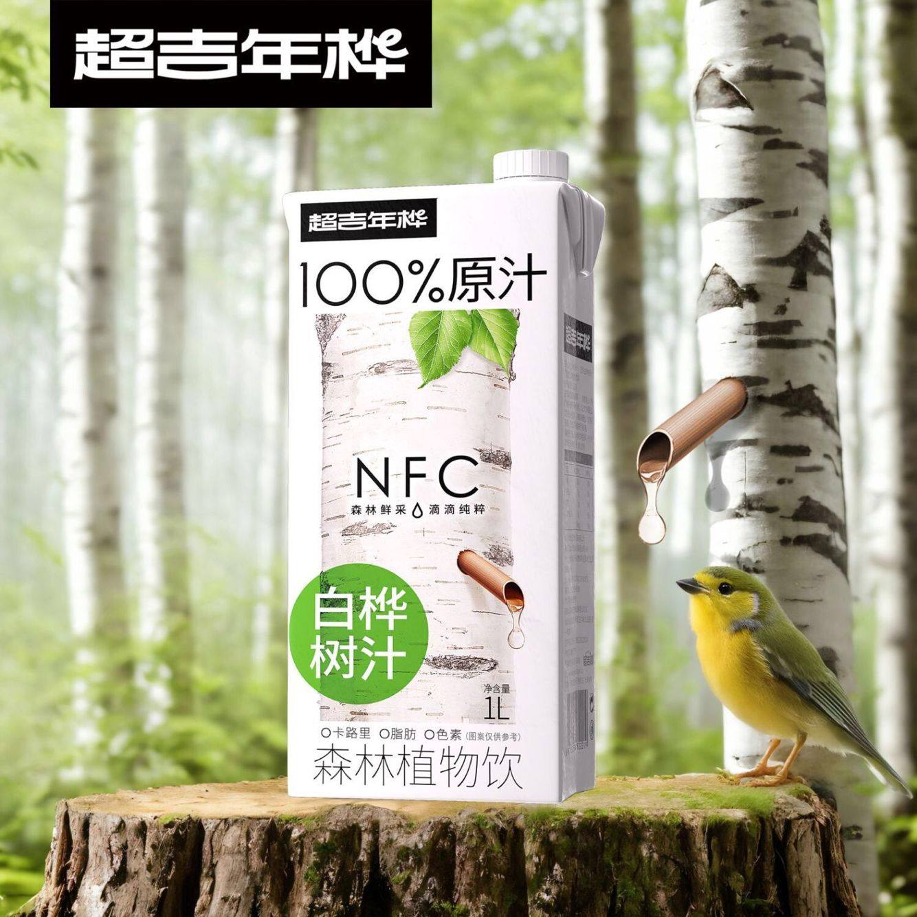 【2瓶】超吉年桦100%白桦树汁NFC森林植物饮料饮品1L大瓶nfc水饮,淘宝优惠券,粉丝福利购,淘宝优惠卷