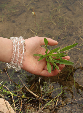 臻唯天然白水晶手链男