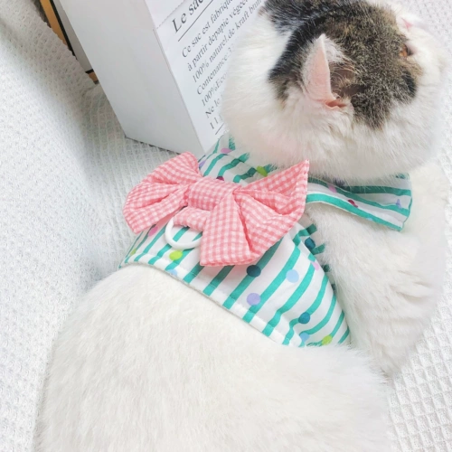 Семь кошек Ханфенг домашние животные половина -теку