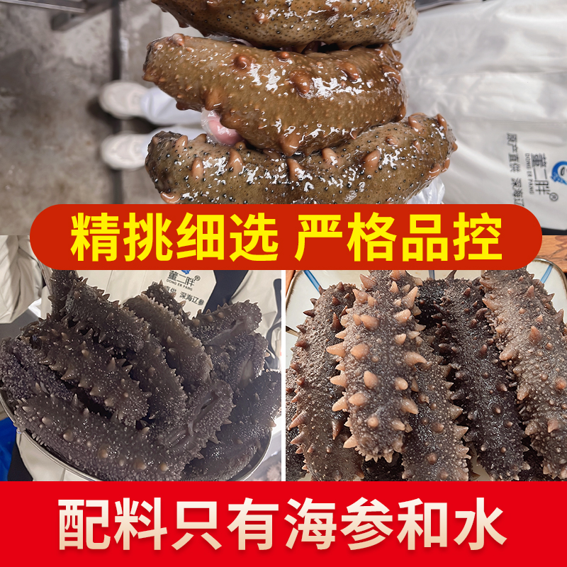 董二胖大连鲜食海参即食刺参单独装高品质 - 图1